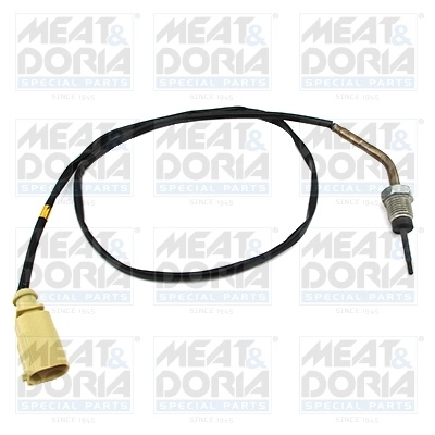 Sensor, exhaust gas temperature